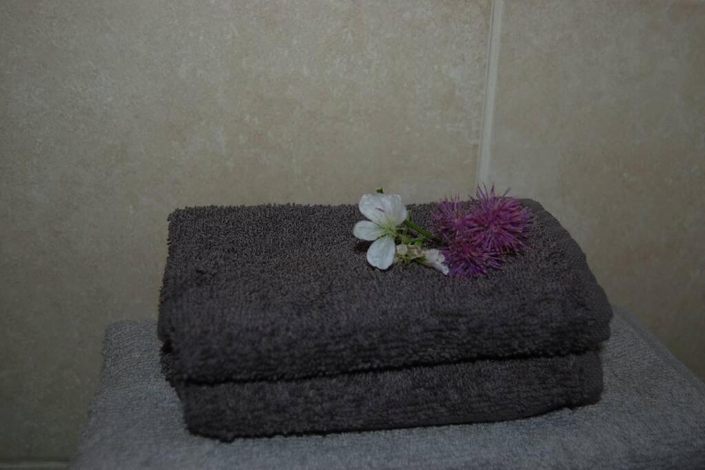 Creag Mhor Self Catering Holiday Apartment Aberfoyle  Ngoại thất bức ảnh